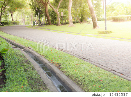 Paved Path in a Beautiful Formal Garden Paved Path in a Beautiful Formal Garden 12452557