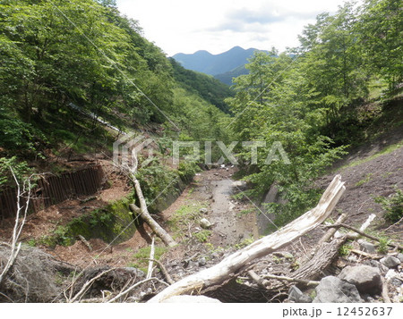 砂防ダムからの景色 砂防ダムからの景色 12452637
