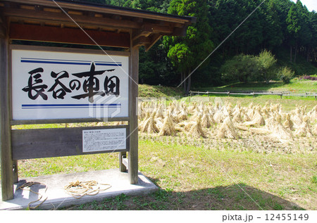 穫入れ終えた長谷の車田 12455149