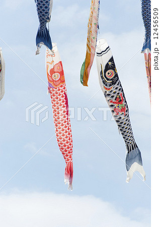 鯉のぼり 鯉のぼり 12456509