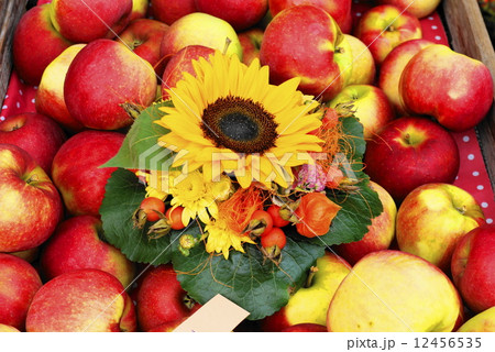 りんご＆ひまわり 12456535