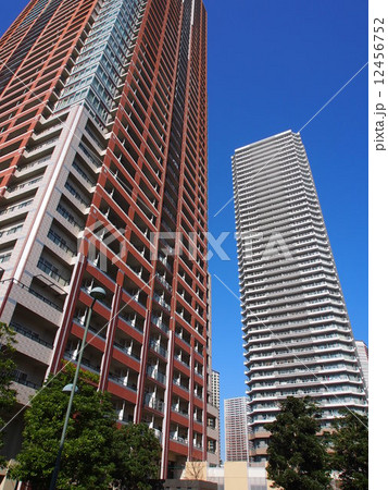 武蔵小杉の高層マンション 武蔵小杉の高層マンション 12456752