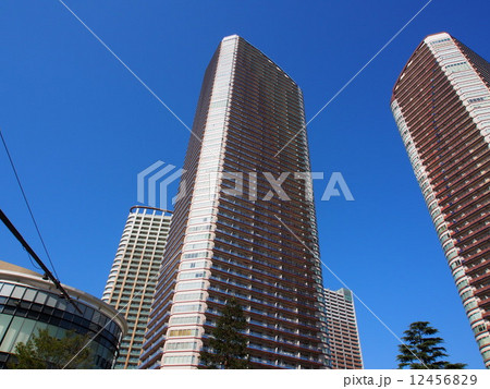 武蔵小杉の高層マンション 武蔵小杉の高層マンション 12456829