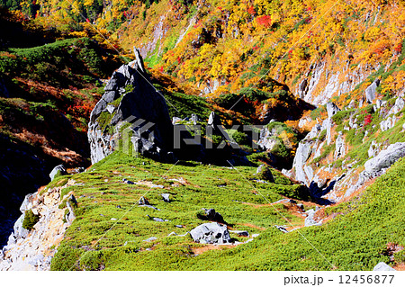 木曽駒ヶ岳 千畳敷カールの紅葉 木曽駒ヶ岳 千畳敷カールの紅葉 12456877