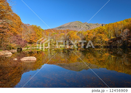 紅葉と笹ヶ峰　仙人沼 12456909