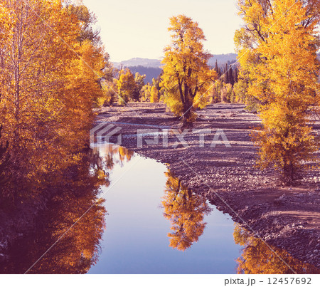 Autumn 12457692