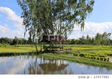 ノーンカーイ県 Nong Khai THAILAND ノーンカーイ県 Nong Khai THAILAND 12457982