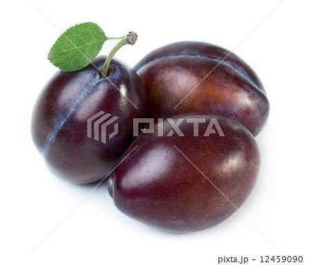 Plums 12459090