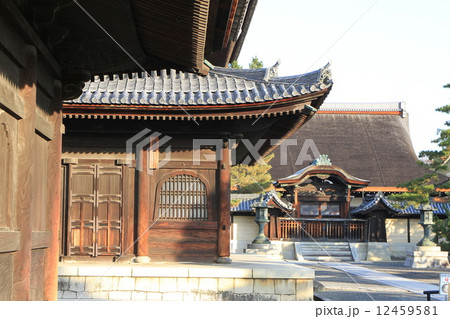 妙心寺 12459581