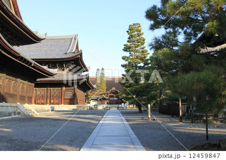 妙心寺 妙心寺 12459847