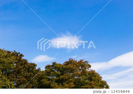 流れる雲 流れる雲 12459849