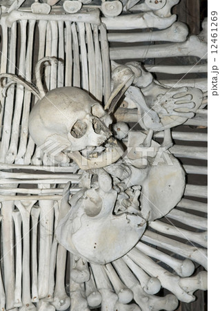 Sedlec Ossuary - Charnel house 12461269