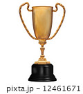 Gold Trophy for First Place 12461671