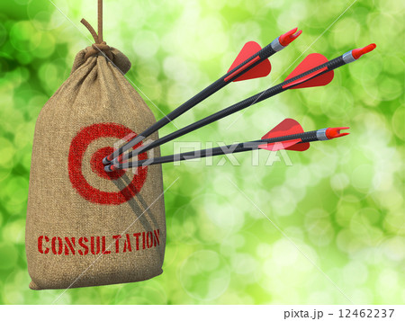Consultation - Arrows Hit in Red Mark Target. Consultation - Arrows Hit in Red Mark Target. 12462237