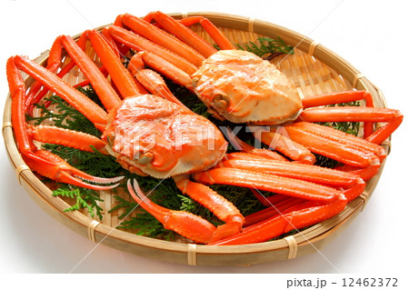 ズワイガニ　食材　白背景 12462372