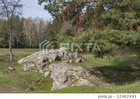 Remains of Adolf Hitler residence Werwolf 12462493