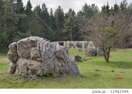 Remains of Adolf Hitler residence Werwolf Remains of Adolf Hitler residence Werwolf 12462494
