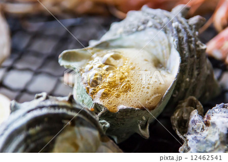 サザエの壺焼き 12462541