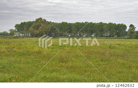 Tuscany wild landscape, Italy 12462632