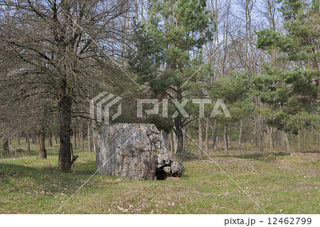 Remains of Adolf Hitler residence Werwolf Remains of Adolf Hitler residence Werwolf 12462799