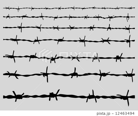 barbed wire 12463494