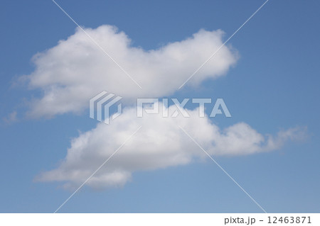 雲 12463871