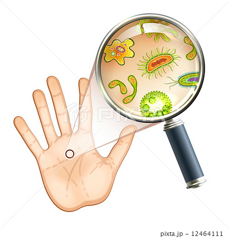 Magnifier Bacteria And Virus Cellsのイラスト素材