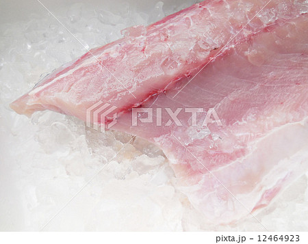 ヒラマサ 12464923