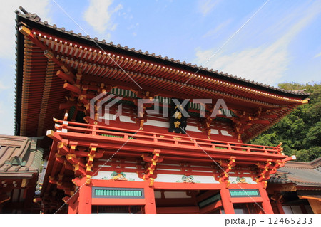 鶴岡八幡宮 12465233