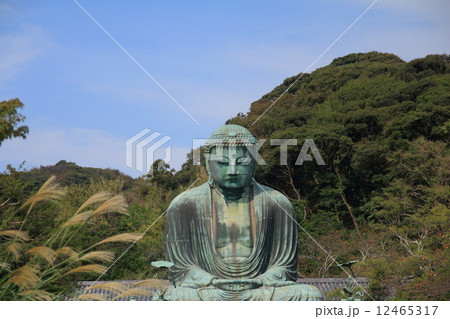 鎌倉 大仏 鎌倉 大仏 12465317