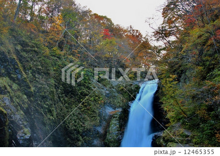 断崖の峡谷に落水する秋保大滝 断崖の峡谷に落水する秋保大滝 12465355