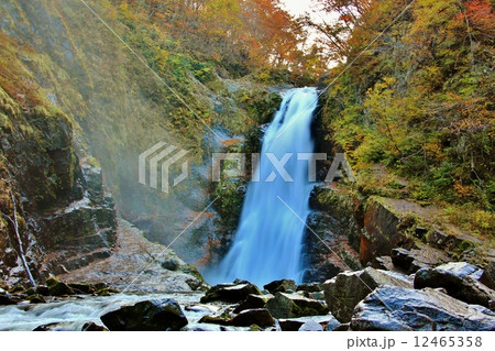 滝と紅葉の峡谷美 12465358