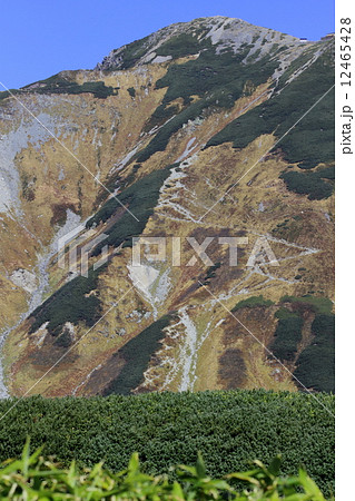 立山連邦　雄山山頂 12465428