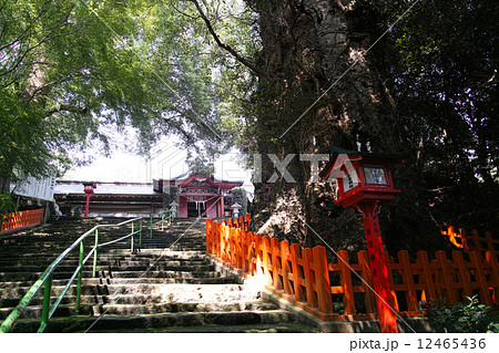 鹿児島県・新田神社 12465436