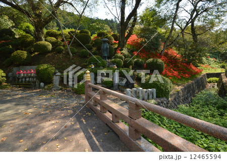 秋の大光寺 あきる野市 秋の大光寺 あきる野市 12465594