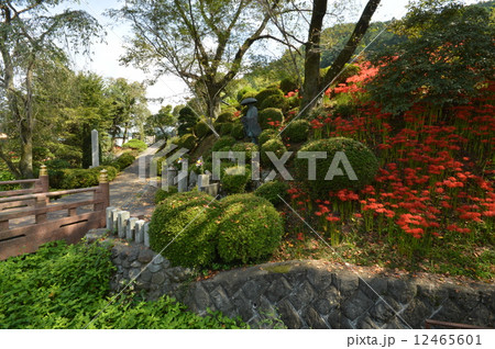 秋の大光寺 あきる野市 秋の大光寺 あきる野市 12465601