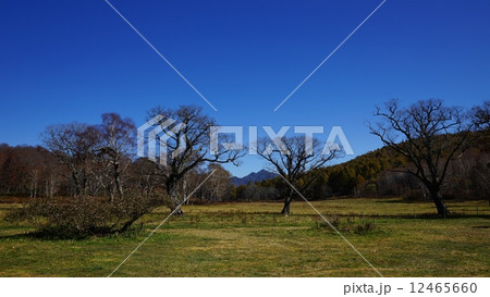 信州木島平村カヤノ平の秋 12465660