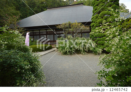 大悲願寺の秋　あきる野市 12465742
