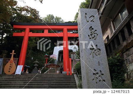 江の島神社 江の島神社 12467015