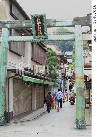 江の島神社 12467016