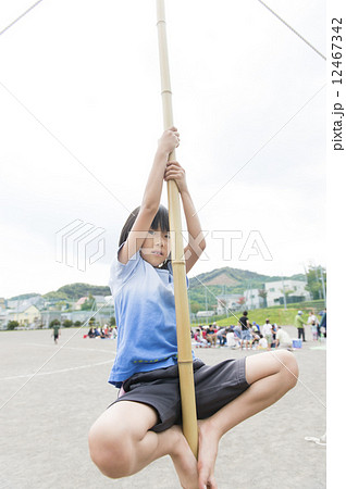 竹登り 12467342