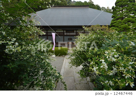 あきる野市 萩寺 あきる野市 萩寺 12467446