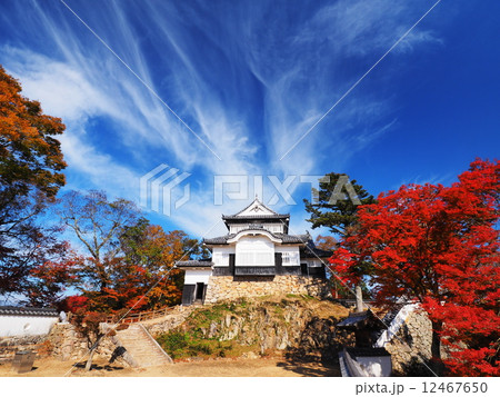 紅葉の備中松山城 12467650