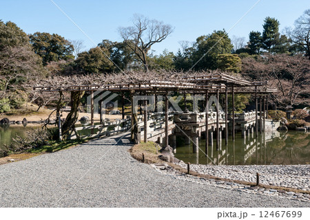 仙洞御所　南池の八ッ橋 12467699