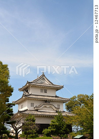 初秋の丸亀城 初秋の丸亀城 12467713