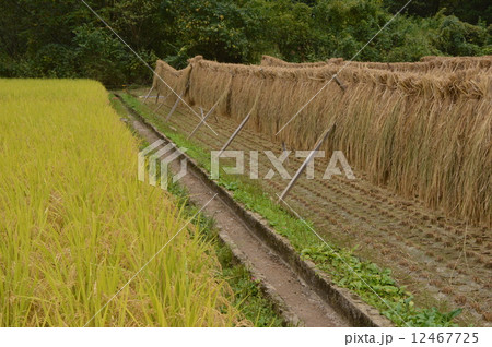 八王子恩方の９月は 12467725
