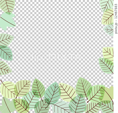 休閒的綠葉框架 12467883