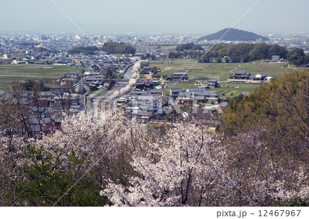 飛鳥の里　春景色 12467967