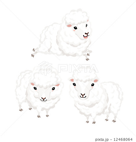 ひつじ ひつじ 12468064
