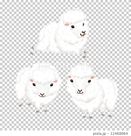 ひつじ ひつじ 12468064